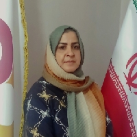 افسانه سیدمحمودی